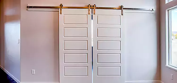 Glass Barn Door with Installation Hardware Kit Alton