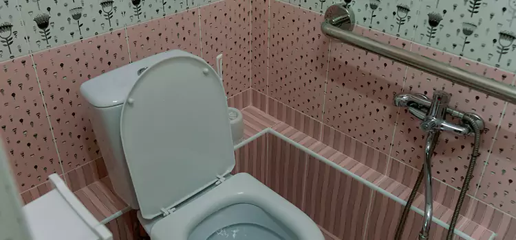 Meeting Diverse Needs With Accessible Restroom Solutions in Alton, IL