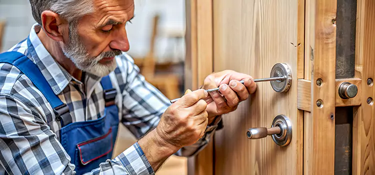Mortise Replacement Lock Alton